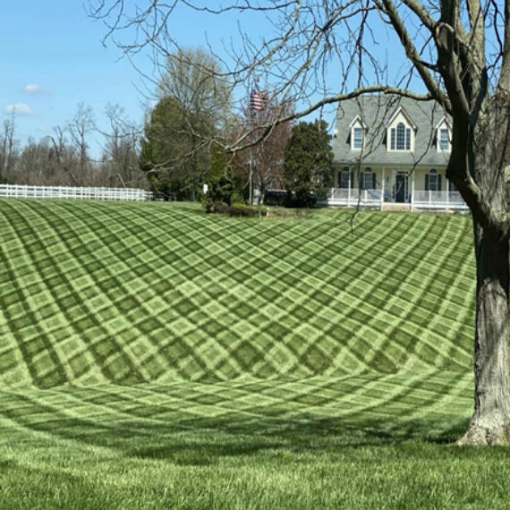 Grass cutting with stripes Chorz